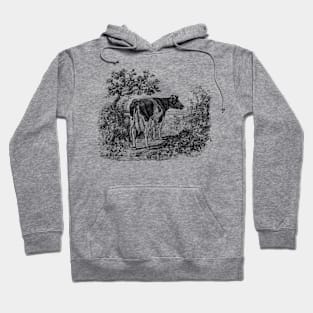 Cow in The Rural Landscape Black and White Illustration Hoodie